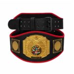 STRYK World Crown Championship Belt - Image 3