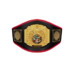 STRYK World Crown Championship Belt - Image 5