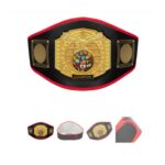 STRYK World Crown Championship Belt - Image 6